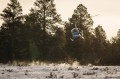 Thumbnail image of Bringing the elk herd into the open, pilots carefully single out an animal to net.
