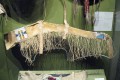 Thumbnail image of 