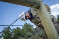 Thumbnail image of An employee of Crossfire LLC works to put the finishing touches on a robust section of fenceline near Alamo Canyon.