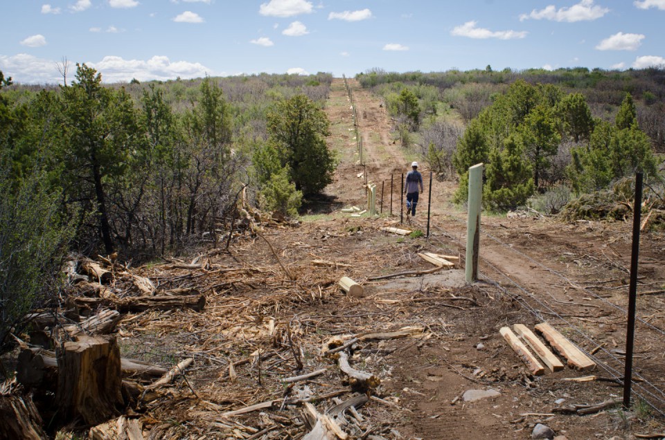 An employee of Crossfire LLC walks the newly constructed fenceline.
