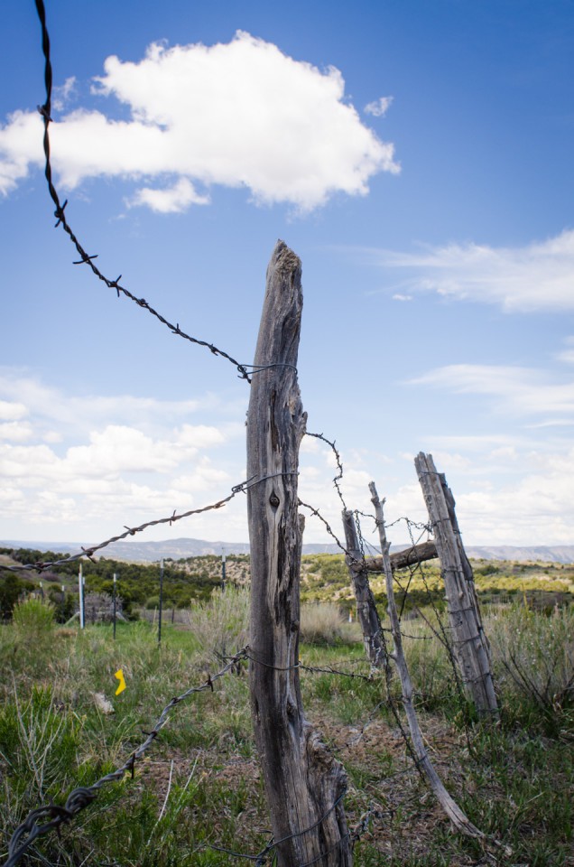 An aging fenceline skirts a section of the Aztec Freeway. Built almost half a century ago, livestock and wildlife have managed to bowl over many sections, pushing against the loose wire in search of greener pasture.