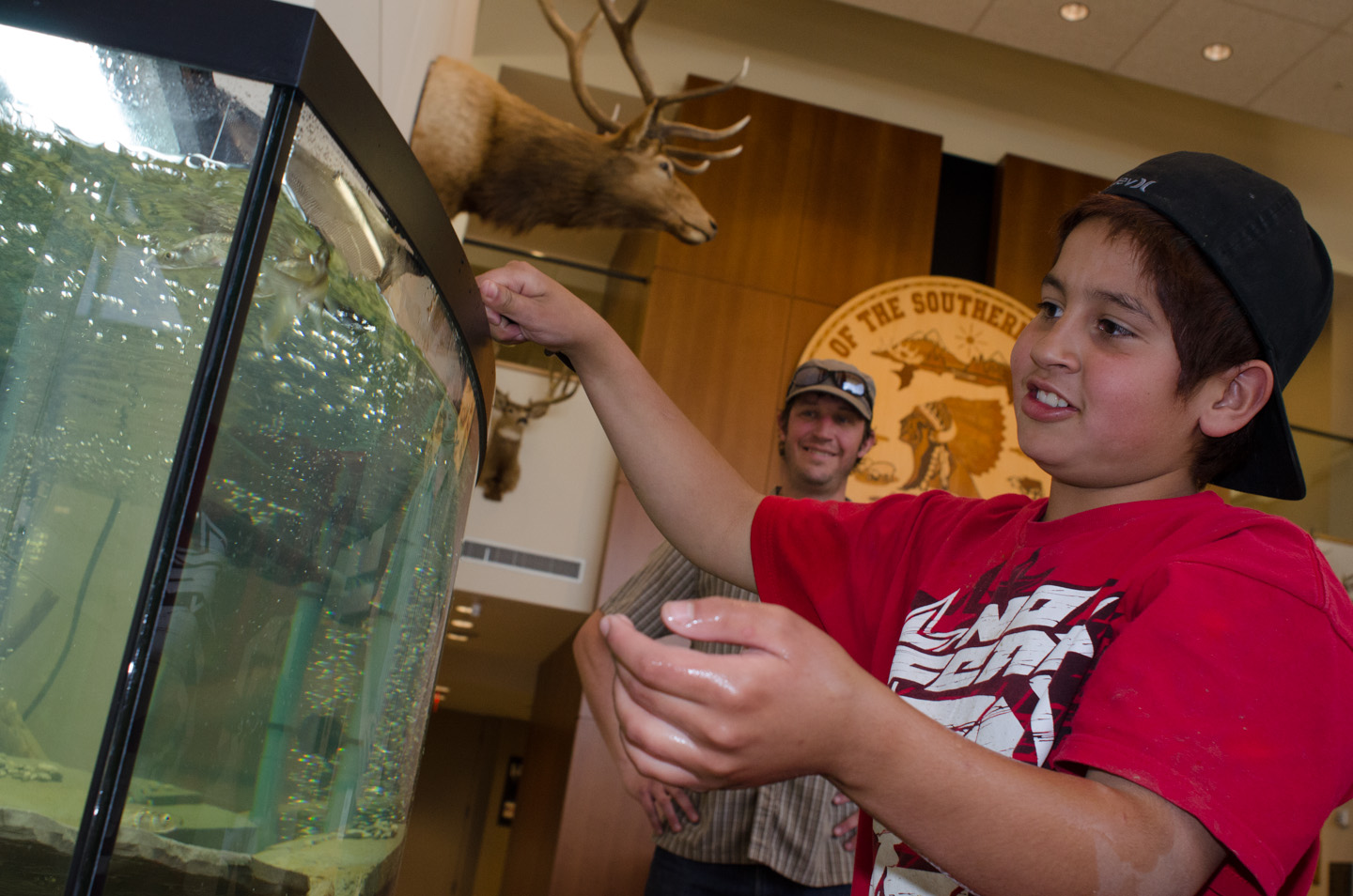 Jon Broholm (background), a wildlife technician, observes the interaction between fish and people after setting up the tank.