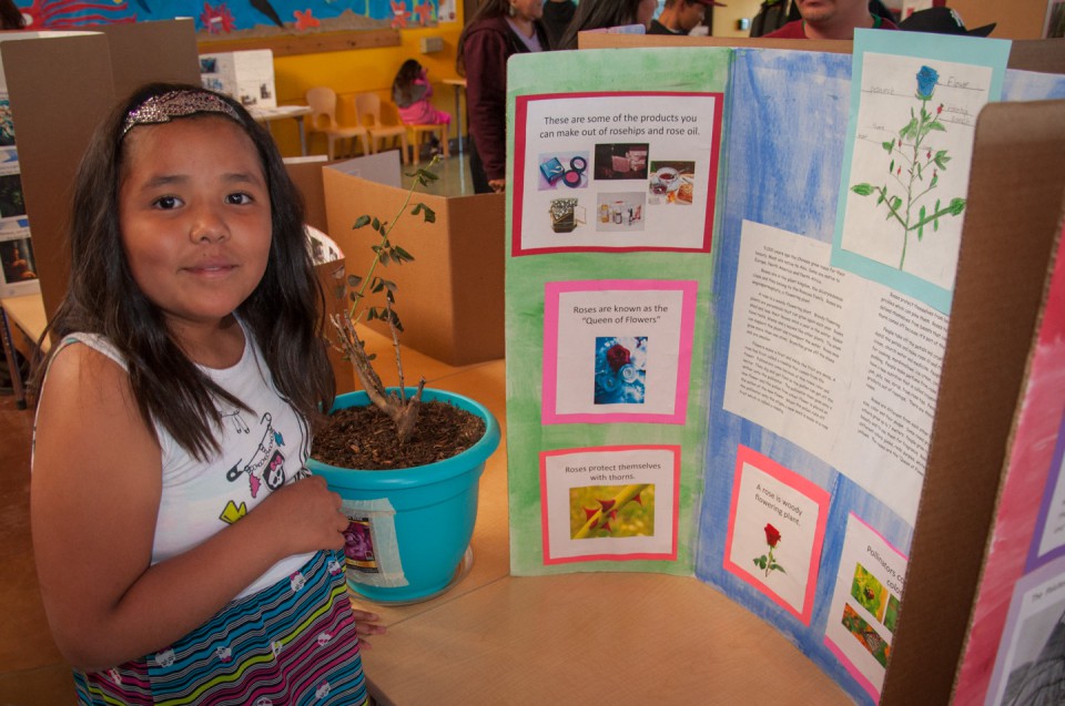 Students of the Southern Ute Indian Montessori Academy created displays on everything from dinosaur fossils to famous scientists for the school’s annual Knowledge Night, which took place Thursday, May 2.