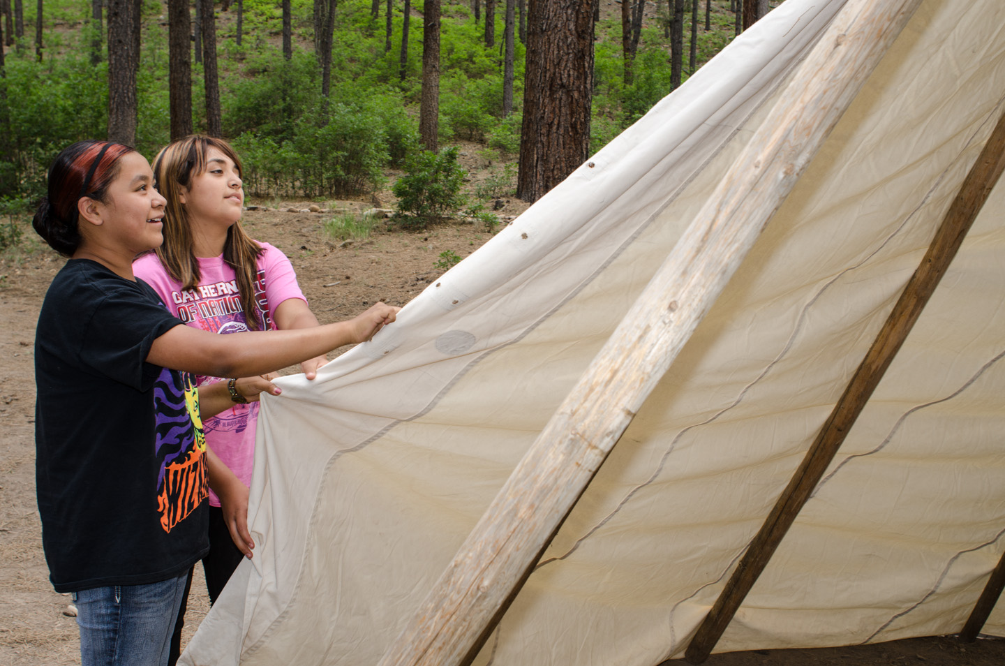Working as a team, youth raise a tipi on the first day of Culture Camp, hosted by the Southern Ute Culture Department. They would then use the tipi throughout the rest of the camp.