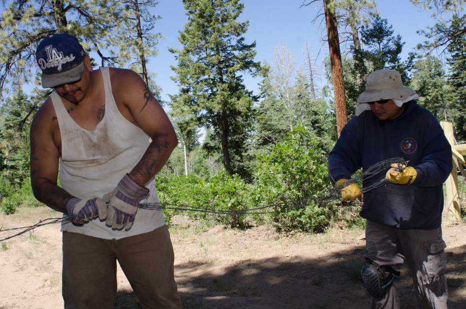 Crewmembers work together to clear out old fence line.