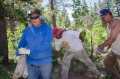 Thumbnail image of Crewmembers work to remove aging fenceline from Archuleta Mesa.