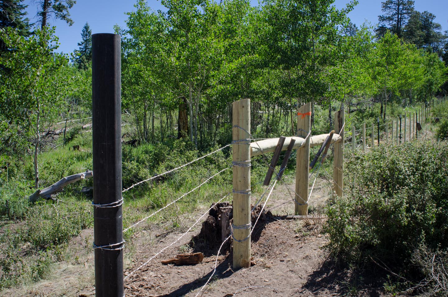 Sections of the new Fence line include gates and cattle guards.