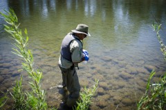 Kirk Lashmett, senior water quality specialist for the Southern Ute Indian Tribe’s Water Quality Program, collects samples from the Animas River north of the Florida River confluence for laboratory testing. 