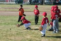 Thumbnail image of The Naturals, a T-ball team coached by Chris Walker and Frank Richards