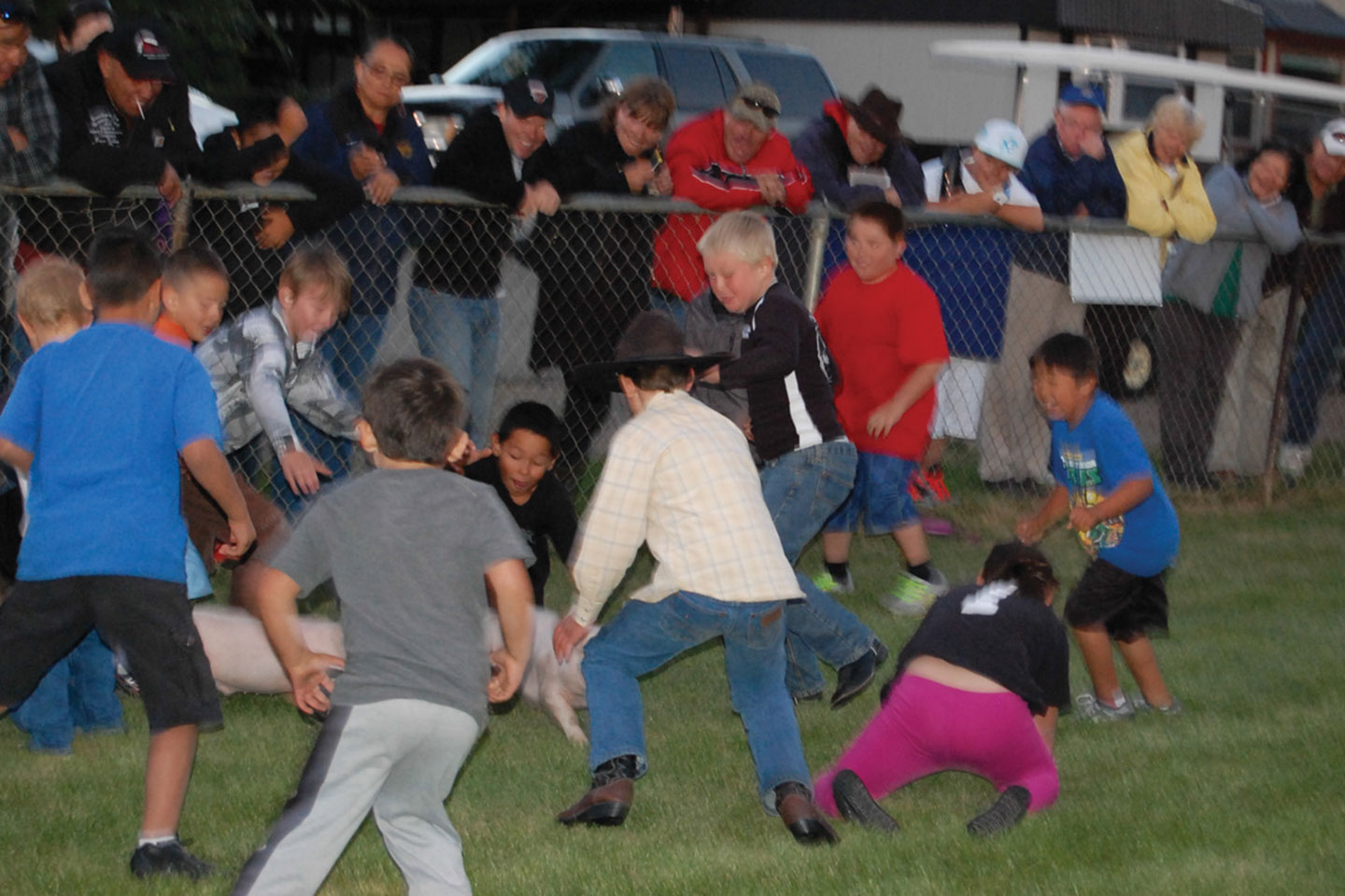 A pig-catching contest