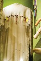Thumbnail image of traditional dress worn