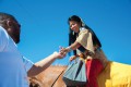 Thumbnail image of 