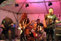 Thumbnail image of 