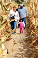 Thumbnail image of corn maze
