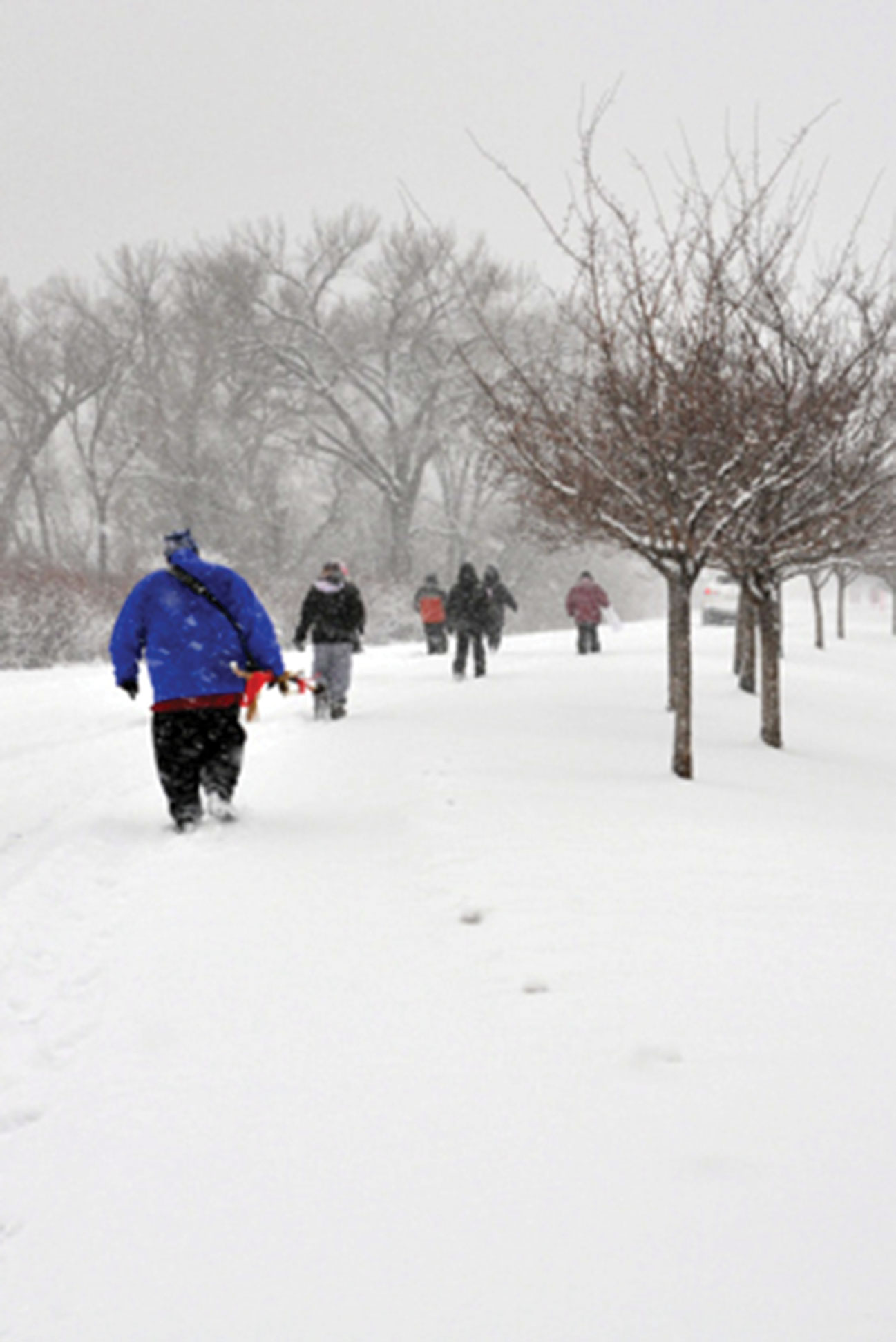 The New Year’s Sobriety Walk