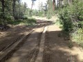 Thumbnail image of 