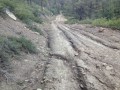 Thumbnail image of 