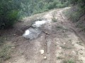 Thumbnail image of 