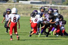 Second grade Durango Demons YAFL football team swarm for the tackle in a win against the Kirtland Mustangs. 