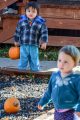 Thumbnail image of 
