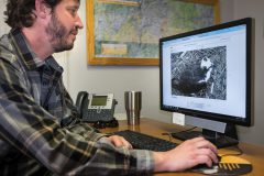 Jon Broholm, Wildlife Technician for the Southern Ute Wildlife Division monitors the Lake Capote osprey nest from his office on Tribal Campus on Tuesday, March 28. Broholm has the ability to change the video camera’s focal length, the camera’s direction and even capture high quality still frames from the live feed. 