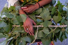 “It reminds us that we lived here, that we walked here,” Southern Ute NAGPRA Coordinator Cassandra Atencio said. She holds a bundle of fresh cuttings from the top of the tree, in hopes of creating viable seedlings from the historic cottonwood.  
