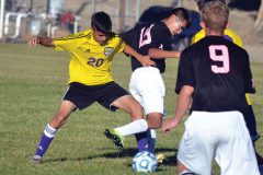 Playing this fall for Bayfield High School, Ignacio’s “Pepe” Loya (20) forcibly dispossesses a Bloomfield, N.M., JV player during Oct. 13 action at Mesa Alta Junior High in Bloomfield. The Wolverines won the match 8-0, then blanked Intermountain League rival Crested Butte 1-0 on the 16th, and edged arch-nemesis Telluride 3-2 in overtime on the 20th – securing the program’s first postseason appearance in 12 years. Given the #21 seed in the 32-team Class 3A State Tournament bracket, BHS (12-3-0, 9-3-0 IML) was to first visit #12 Delta (12-2-1, 6-1-1 Western Slope) on Thursday, Oct. 26, with the winner then advancing to face either #28 Vail Mountain or #5 Denver Science & Tech – Stapleton. Loya scored one goal during regular-season play.