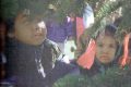 Thumbnail image of 