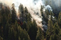 Drought conditions throughout the region have prompted stringent fire restrictions as multiple wildfires burn throughout Southwest Colorado and Northern New Mexico. 