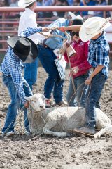 During the mutton bustin’ event, contestants help one another chase after their riding gear.