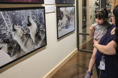 The ‘Living with Wolves' photographic exhibit recently opened to the public in Ignacio, Colo., Shoshone Blackwood-TwoCrow, and her mother, Ceriss Blackwood are among the first visitors to explore the National Geographic partnered photo exhibit at the Southern Ute Museum, Monday, Aug. 13 — followed by a grand opening slated for Thursday, Aug. 16. 