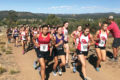 Thumbnail image of 