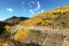 Brilliant fall colors attract leaf peepers into the high country. These quaking aspen are turning gold near US 550 Molas Pass in southwest Colorado.