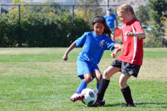 Southern Ute tribal member, Keelyn Reynolds (in blue) of the Durango Lightning youth soccer team attempts to steal the ball from a Thunderbolts player, in U9/10 Four Corners Youth Soccer League action, Saturday, Sept. 22 at Fort Lewis College’s Smith Complex. 