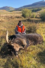 Southern Ute tribal member Sharay Rock harvested this bull moose Saturday, Sept. 8 from the South Moose Unit in the Brunot Area.