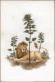 Thumbnail image of 