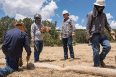 Contract workers for Chevron work to stake waddles for erosion control in the Valencia and 44 Canyon sites, Monday, July 1. 