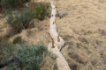 Thumbnail image of 