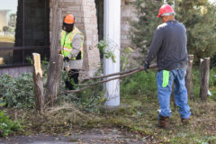 Crew workers from the Southern Ute Grounds Maintenance Department cut an overgrown tree on the west side of the Southern Ute Museum on Tuesday, August 6. By clearing away the overgrown brushes and trees, the Southern Ute Museum hopes to open up the back area to visitors. 