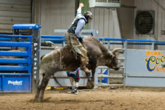 Dalton Sanchez attempts to ride his bull for a qualified eight seconds during the bull riding event at the Southern Ute Fair Rodeo.  