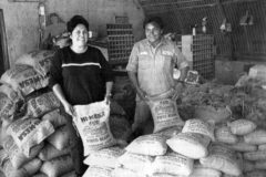 20 years ago: Agricultural Extension temporary secretary Renee Tree-Wilhelm and Robert Watts stand with a portion of the 9,230 pounds of potatoes and 5,260 pounds of beans that Ag Extension sold at bargain prices. 
This photo first appeared in the Nov. 5, 1999, edition of The Southern Ute Drum.