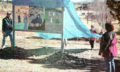 Thumbnail image of 