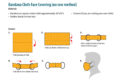 Thumbnail image of 