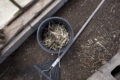 Thumbnail image of 