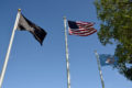 Thumbnail image of 