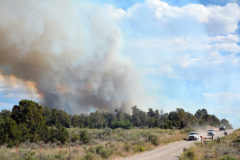 Crews respond to the Six Shooter Fire on the Southern Ute Indian Reservation, Tuesday, June 16. 