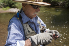 Fly fishing advice from Don Oliver — when you fly fish Hermosa Creek you’ll find mostly cutthroats, with an occasional rainbow, and even more occasionally a brook trout. Also, plan on using a three-weight rod and dry flies.  