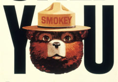 Smokey Bear is pictured in a 1981 US Forest Service poster in this undated handout photo obtained by Reuters August 8, 2014. The iconic bear, who has been the figurehead of the U.S. Forest Service's anti-fire campaign, turns 70 years old August 8, 2014. 