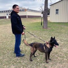 Yoko is a 1 year old Belgian Malinois. Yoko is a hard worker. She is looking forward to a rewarding career with SUPD.
