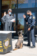 Southern Ute Tribal Court Judge, Scott Moore swears in newly hired SUPD Officer Adrian Wauneka and his K-9 detecting dog, Raven, on Wednesday, May 12.  